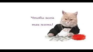 Футажи - поздравления для ProShow Producer