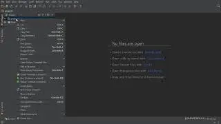 02 Python Intermediate  IDE