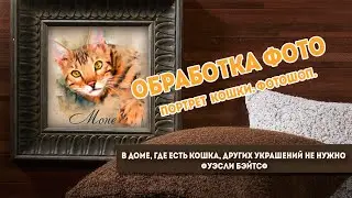 Легкая художественная обработка фото животных в фотошопе. Обработка фото кошки. speedart