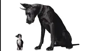 K CAMP x TRUE STORY GEE x RARE SOUND - BIG DAWG STATUS (Official Audio)