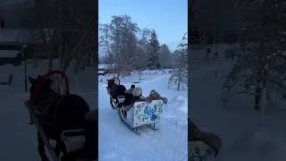 Традиционные барские забавы в 