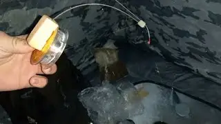Пришли в 5 утра, чтобы наловить мешок плотвы. Зимняя рыбалка на Салмыше