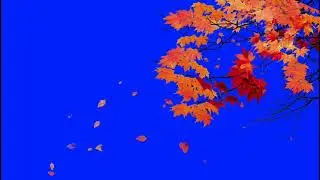 Tree effects 