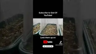 Check out 