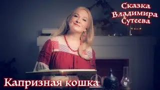 Капризная кошка. Сказка Владимира Сутеева