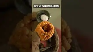 Почему граната скрипит? 