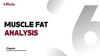 6. Muscle Fat Analysis