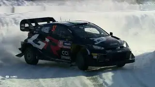DAY 4 - Rally Sweden 2024 - L. Bertelli / S. Scattolin - Toyota Yaris Rally1