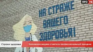 Стражи здоровья: волховские медики отметили профессиональный праздник