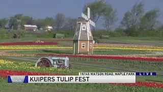 Weekend Break: Kuipers Tulip Fest