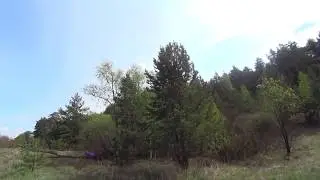 бабы дуры в лесу не хотят давать шишки Пиздрина