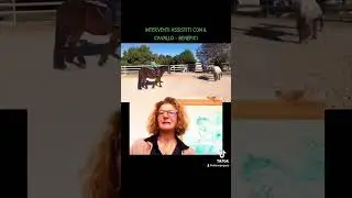 Interventi assistiti con il cavallo - benefici: rilassamento psicofisico