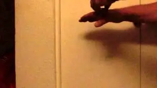 CIMG0009