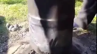 Chicken Dinner😂😂😂 Готовим Курочку 😂😂😂 [Coub]