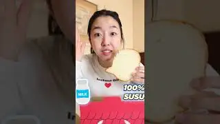 TOKO ROTI KUCING INI VIRAL DI JEPANG! SEMUA NYA KUCING !