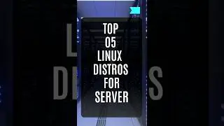 Top 5 Linux Distros for Server 