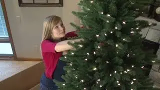 Honeywell Christmas Trees (Setup your Tree in One Minute!)