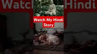 My Buddha Story channel 