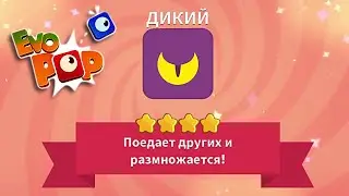 Evo Pop | #16 | Новый эво - дикий!