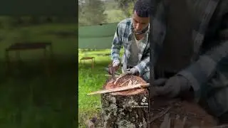 Doğada Ateş Başlatıcı 🔥