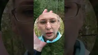 Веревочный парк 