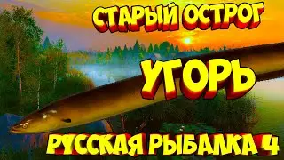 русская рыбалка 4 - Угорь озеро Старый Острог - рр4 фарм Алексей Майоров russian fishing 4