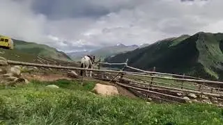 Чала спортик уят болуп калды Орусстарга😂😂