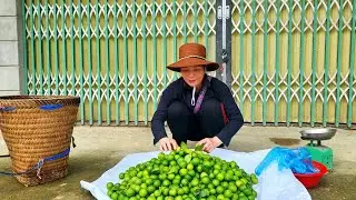 Harvesting paintings, selling at the market - building a life on the farm - DANG THI DU
