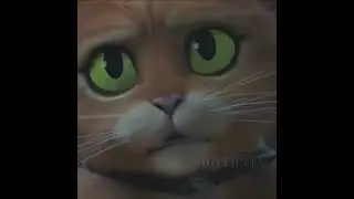 𝕻𝖚𝖘𝖘 𝖎𝖓 𝖇𝖔𝖔𝖙𝖘 Edit by Dżulietta #pussinboots #cat #subscribe
