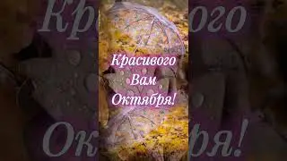 #октябрь2024#пожеланиядрузьям #shortvideo #позитив#shortvideos
