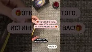 15 сентября 2024 г.