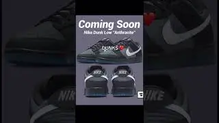 BEST NIKE DUNK IN COMMING FOR 2024!