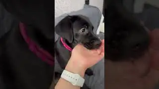 Наши будни 😋 