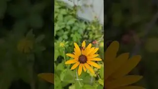 #лето 💔