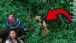 Asmongold sees something suspicious hiding in a bush