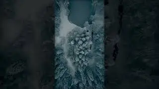 Winter Fest