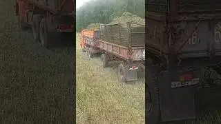 Сенаж 2024. Камаз с прицепом. New Holland FR 500 