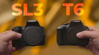 Canon 250D vs Rebel T6: Still Good in 2023?
