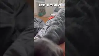 Папа ругает через камеру 😂 