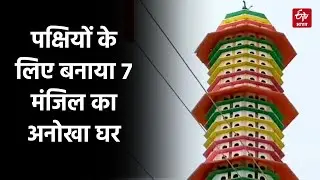 Special Story : पक्षियों के लिए बनाया 7 मंजिल का अनोखा घर, जिसमें 512 फ्लैट | Aligarh News | UP
