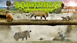 Zoo Tours Ep. 50: The Rainforest of the Americas | The Los Angeles Zoo