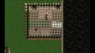 ГЕРОИ МЕЧА И МАГИИ 3 / АРЕНА / ARMAG VS XGAMER / FAST ARENA / ВТОРАЯ ИГРА