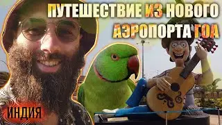 Из нового аэропорта Гоа (Мопа) в Ченнай и Махабалипурам. Кафе для попугаев.