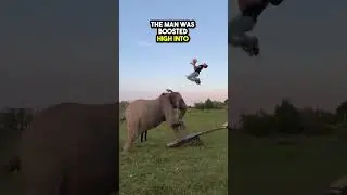 Elephant Catapult Gone Wrong😂