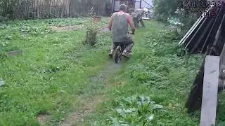 Смешное видео