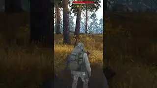 Stay out.  Возможности графики 