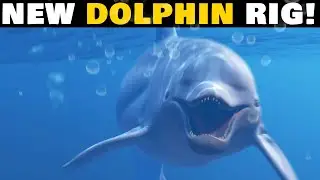 Download this RIGGED 3D Dolphin!!