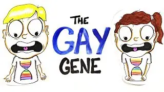 Does Everybody Have A Gay Gene?