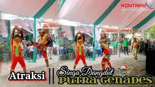 ATRAKSI - SINGA DANGDUT PUTRA GENADES || Live Show Ciberes