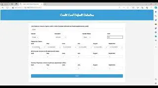 Credit Card Default Detection